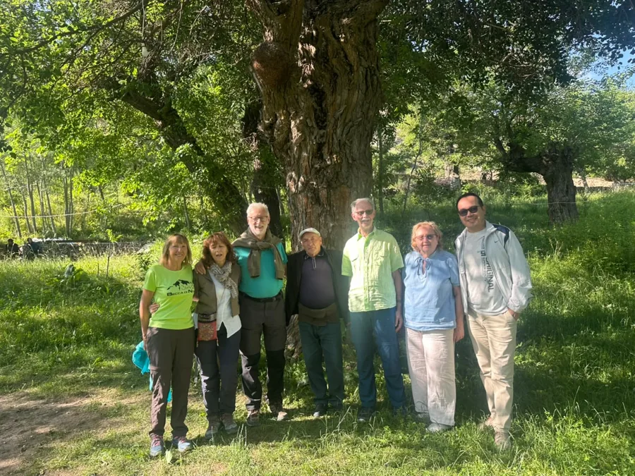 Travelers standing beneath a broad tree in a green orchard