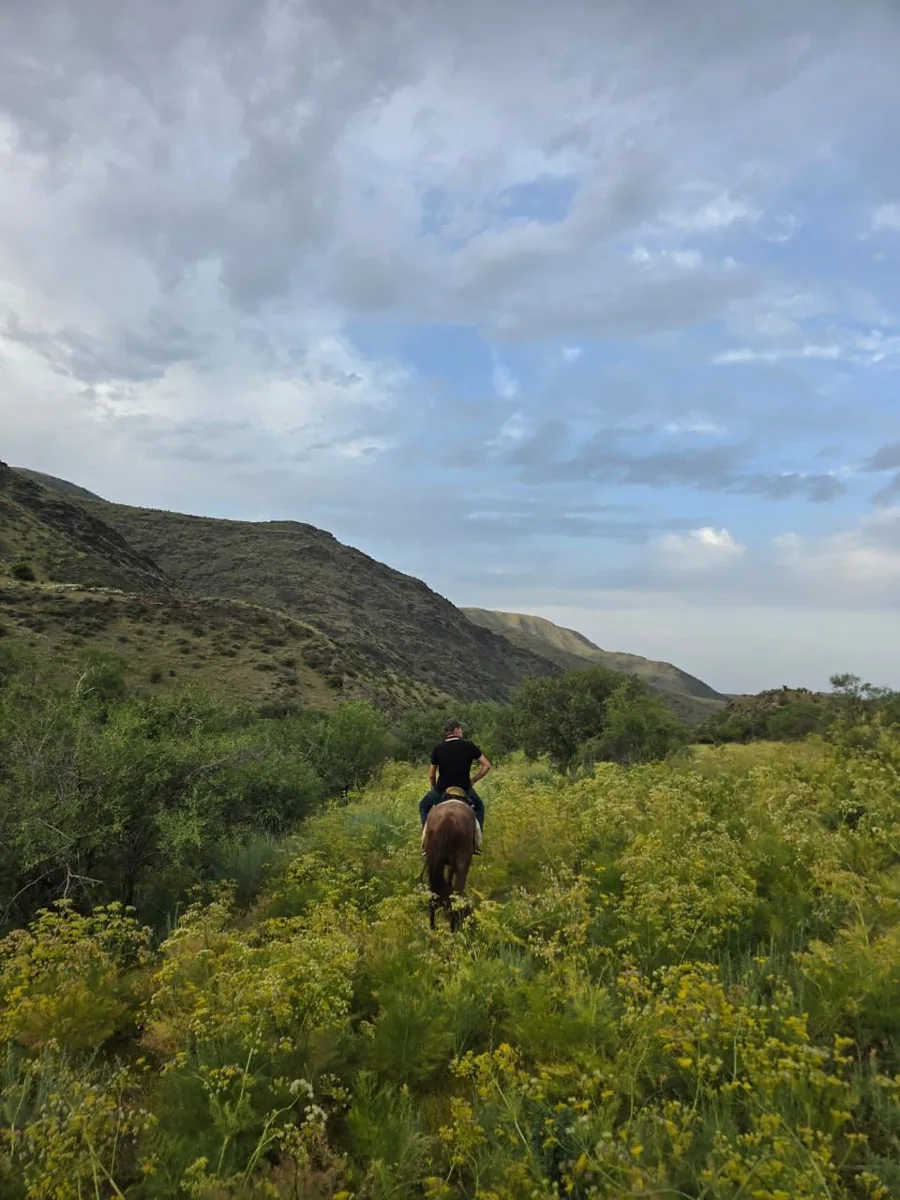 A horse rider following a green valley beneath dramatic clouds