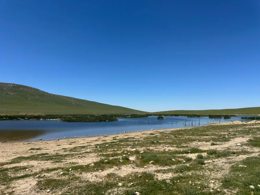 A blue lake bordered by an open grassy hillside and sandy shore