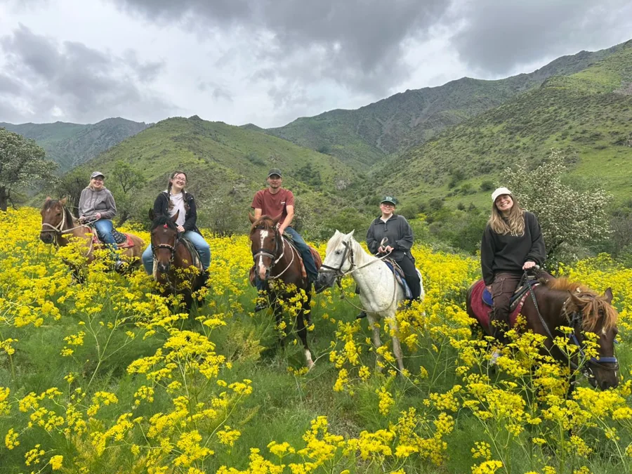 Travelers and horses among yellow flowers in a green mountain valley