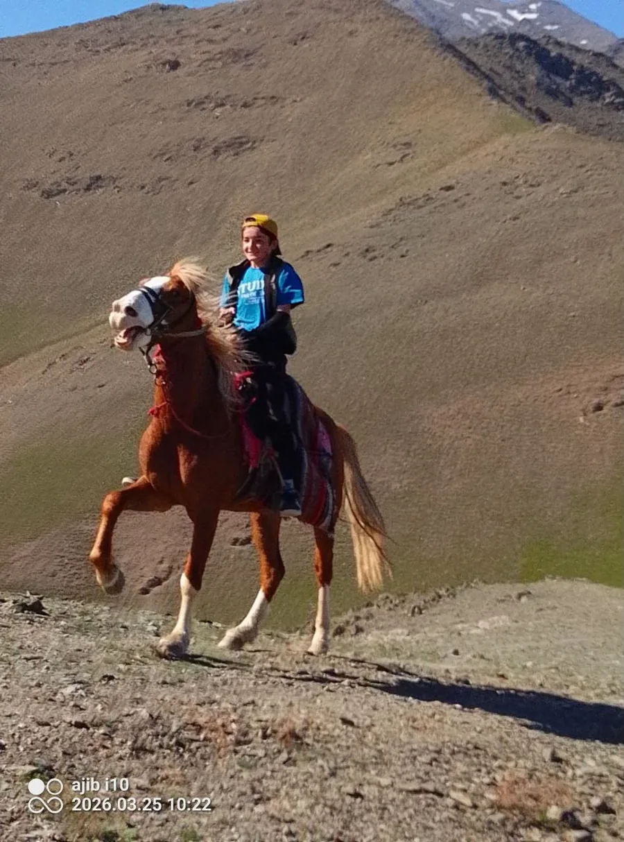 A traveler riding a chestnut horse along a mountain slope