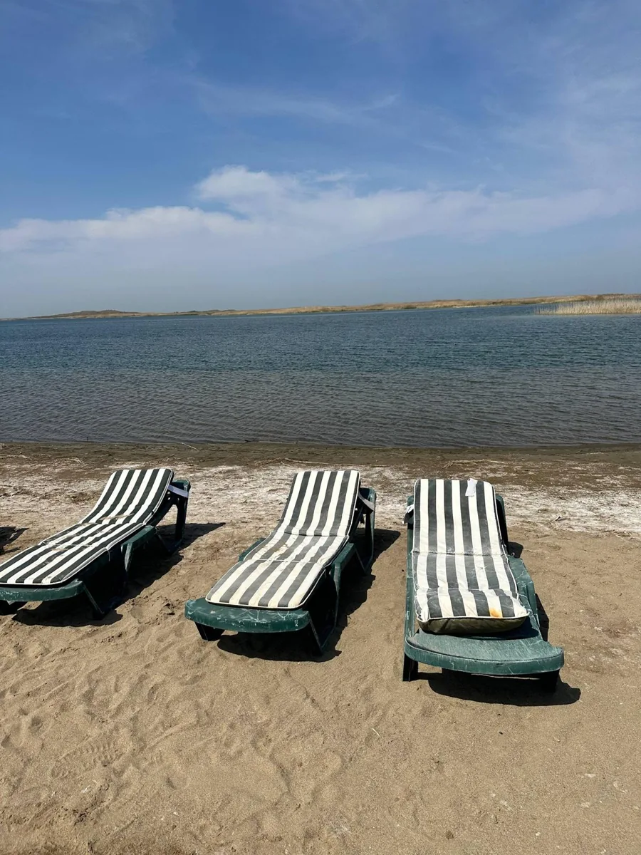 Lakeside loungers lined up on a sandy beach