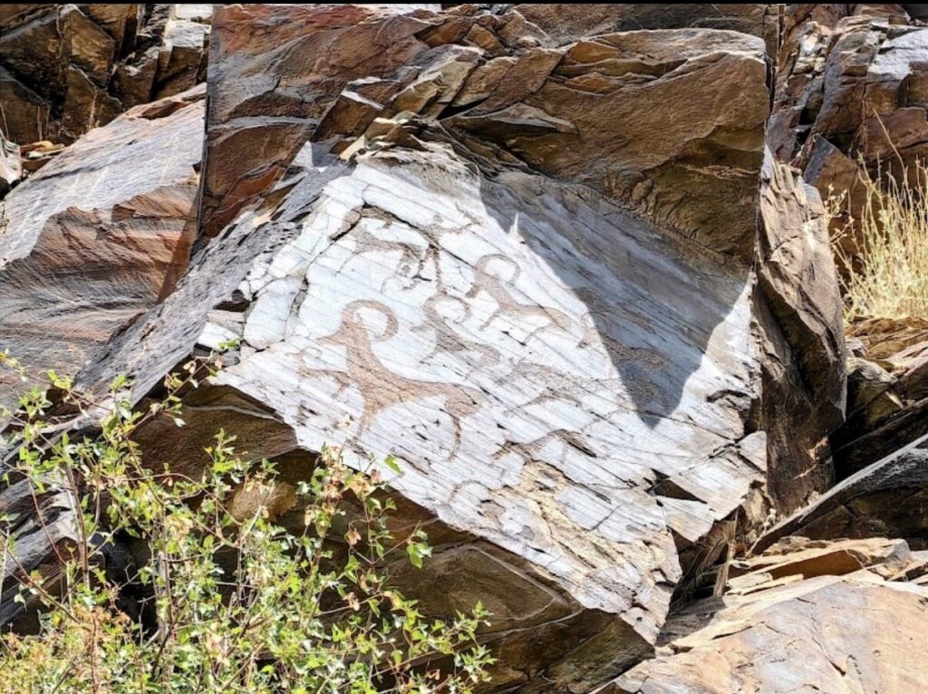 Canales de riego y petroglifos de Ukhum