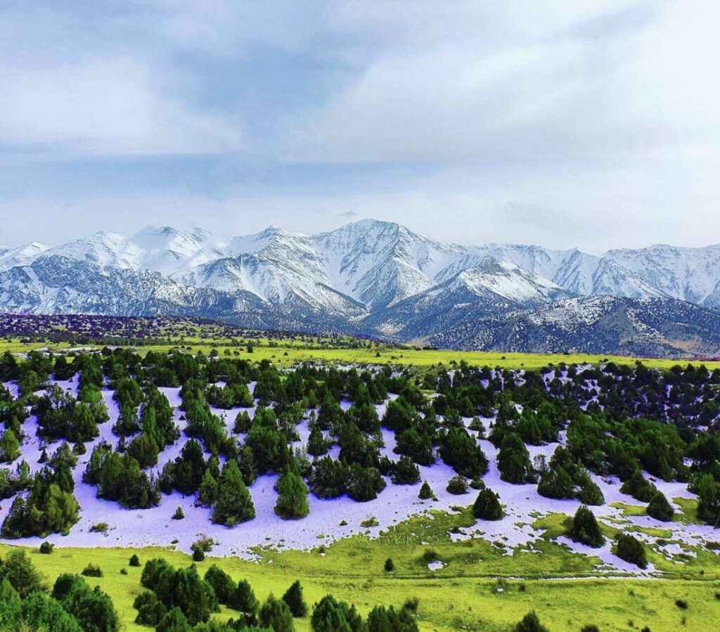 Zaamin mountain views