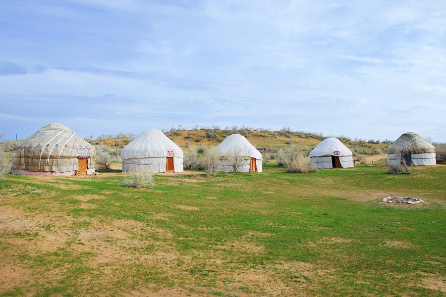 Desert yurt camp tour
