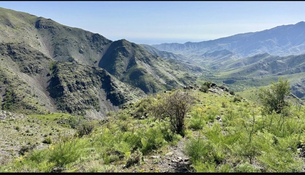 Valle verde y laderas rocosas en los montes Nuratau.