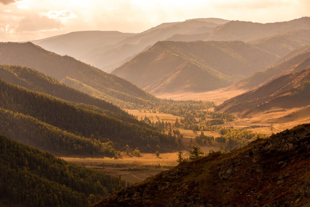 Sunlit mountain valley with forested slopes