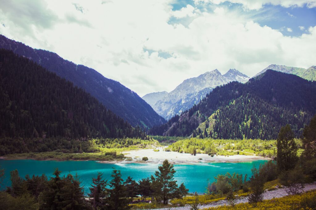 Blue mountain lake bordered by pine forest and distant peaks