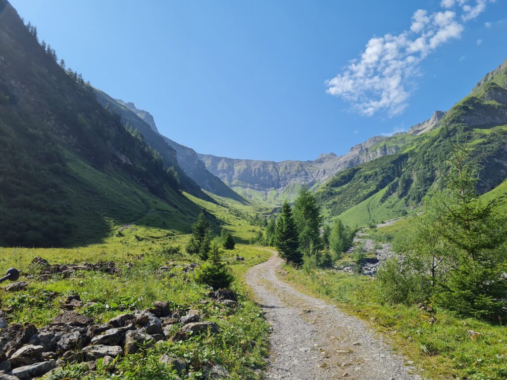 Mountain path winding through a green alpine valley