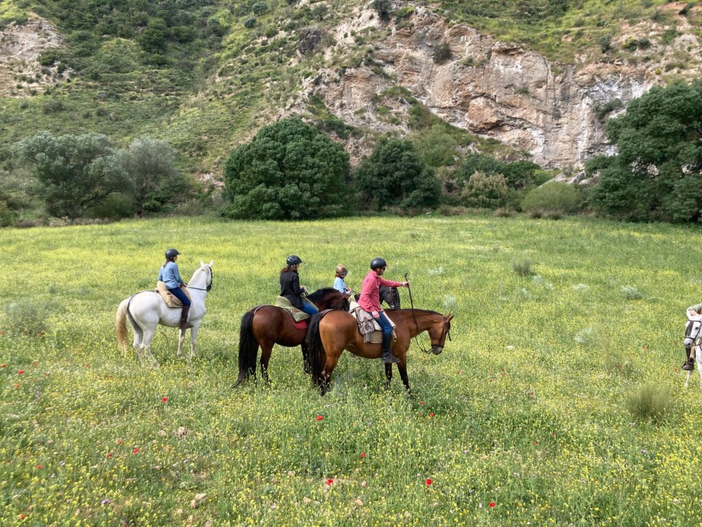 Horse riders crossing a flowered meadow below rocky hills