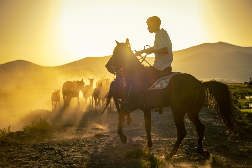 Horse rider leading a herd across a sunlit plain