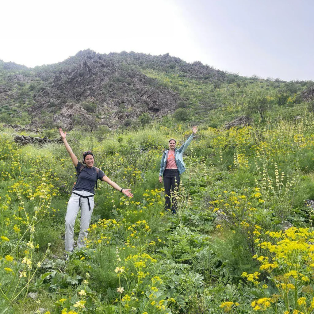 Two hikers walking through yellow wildflowers on a rocky mountain slope