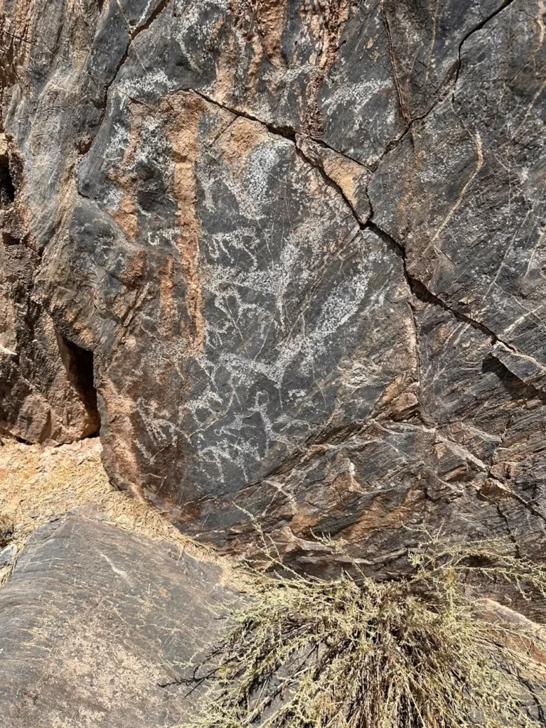 Weathered animal figures carved into dark rock in the Nuratau Mountains