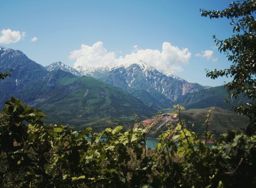 Green mountain valley with snow-covered peaks