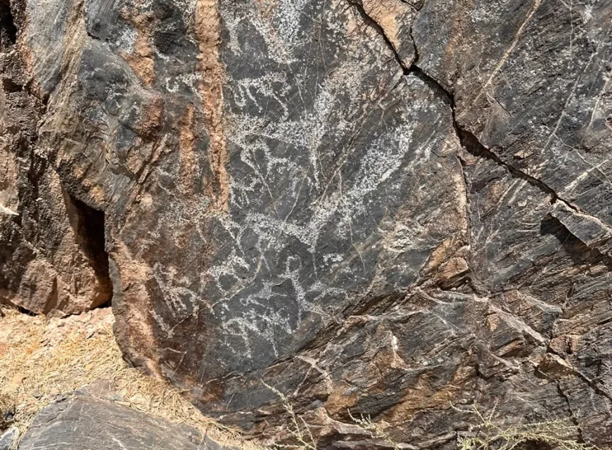 Weathered animal figures carved into dark rock in the Nuratau Mountains